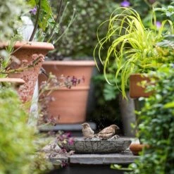 Turned Green Marble Bird Bowl 18 Turned Green Marble Bird Bowl -Feathered Garden pr2000037502 card9 lg