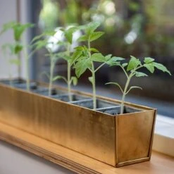 Brass Windowsill Tray With 6 Grow Pods 14 Brass Windowsill Tray With 6 Grow Pods -Feathered Garden pr2000037506 card5 lg