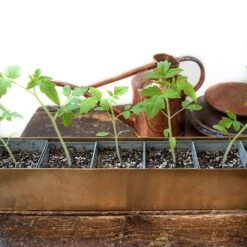 Brass Windowsill Tray With 6 Grow Pods 15 Brass Windowsill Tray With 6 Grow Pods -Feathered Garden pr2000037506 card6 lg