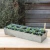 Galvanised Tray With 12 Large Grow Pods 2 Galvanised Tray With 12 Large Grow Pods -Feathered Garden pr2000037508