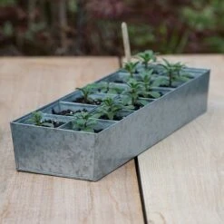 Galvanised Tray With 12 Large Grow Pods 11 Galvanised Tray With 12 Large Grow Pods -Feathered Garden pr2000037508 card3 lg