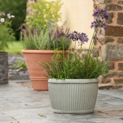 Oval Zinc Dolly Tub Pot 10 Oval Zinc Dolly Tub Pot -Feathered Garden pr2000037524 card3 lg