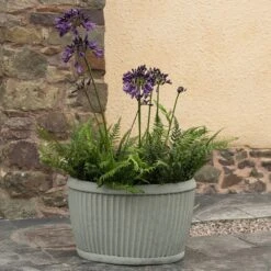 Oval Zinc Dolly Tub Pot 13 Oval Zinc Dolly Tub Pot -Feathered Garden pr2000037524 card6 lg