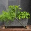 Portable Planting Trough - Crocus Green Frame 1 Portable Planting Trough - Crocus Green Frame -Feathered Garden pr2000037525
