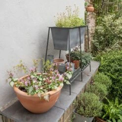 Trough Stand With Shelf - Long 12 Trough Stand With Shelf - Long -Feathered Garden pr2000037547 card5 lg