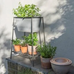 Trough On Stand With Shelf - Short 12 Trough On Stand With Shelf - Short -Feathered Garden pr2000037548 card4 lg