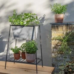 Trough On Stand With Shelf - Short 13 Trough On Stand With Shelf - Short -Feathered Garden pr2000037548 card5 lg