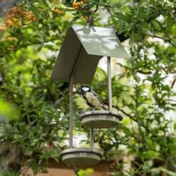 One Up One Down Bird Feeder - Crocus Green 9 One Up One Down Bird Feeder - Crocus Green -Feathered Garden pr2000037553 card4 lg