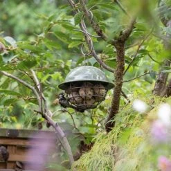 Birdie Fat Snax Feeder - Crocus Green 10 Birdie Fat Snax Feeder - Crocus Green -Feathered Garden pr2000037554 card3 lg