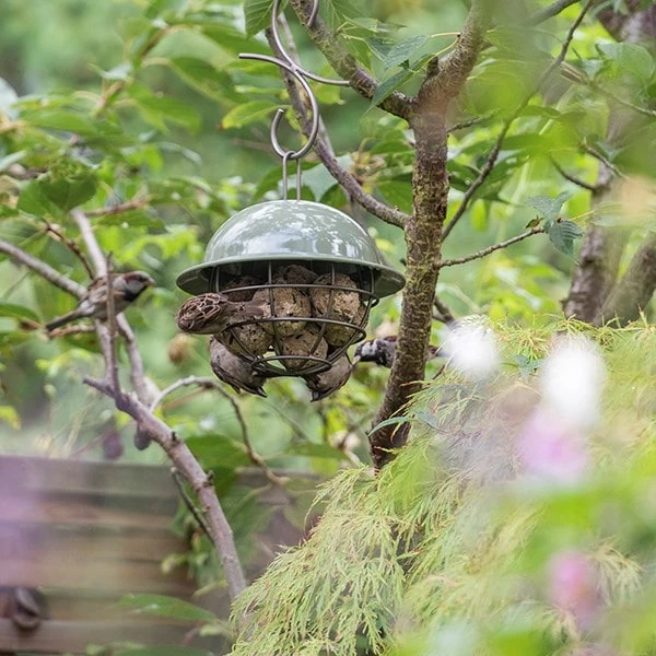 Birdie Fat Snax Feeder - Crocus Green 7 Birdie Fat Snax Feeder - Crocus Green - Image 5