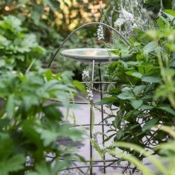 Feathered Garden -Feathered Garden pr2000037555 card2 lg