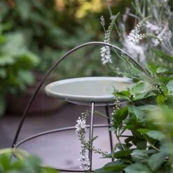 Plant Support With Bird Bowl - Crocus Green -Feathered Garden pr2000037555 card5 lg