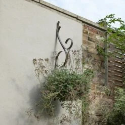 Scroll Wall Hook - Graphite 7 Scroll Wall Hook - Graphite -Feathered Garden pr2000037558 card4 lg