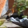 Zinc Leaf Bird Bath -Feathered Garden pr2000037571
