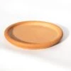 Natural Terracotta Saucer -Feathered Garden pr2000037584