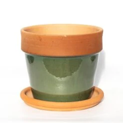 Natural Terracotta Saucer 8 Natural Terracotta Saucer -Feathered Garden pr2000037584 card2 lg