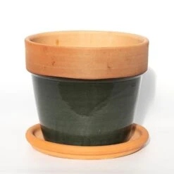 Natural Terracotta Saucer 9 Natural Terracotta Saucer -Feathered Garden pr2000037584 card3 lg