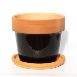 Natural Terracotta Saucer 10 Natural Terracotta Saucer -Feathered Garden pr2000037584 card4 lg