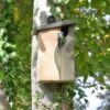 Curve Cavity Nest Box 1 Curve Cavity Nest Box -Feathered Garden pr2000038547