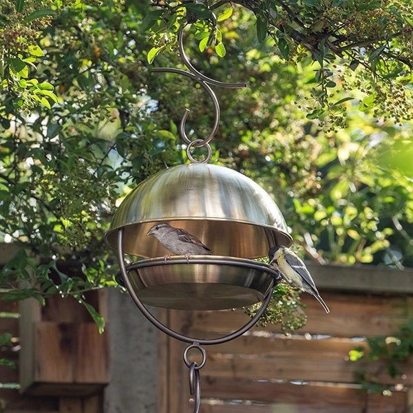Brushed Brass Hanging Bird Feeding Dome 4 Brushed Brass Hanging Bird Feeding Dome - Image 2
