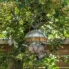 Brushed Brass Satellite Fat Ball Feeder 2 Brushed Brass Satellite Fat Ball Feeder -Feathered Garden pr2000040686