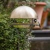 Brushed Brass Stake Bird Feeding Dome -Feathered Garden pr2000040687