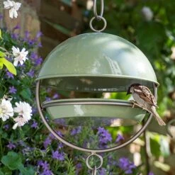 Hanging Bird Feeding Dome - Crocus Green 14 Hanging Bird Feeding Dome - Crocus Green -Feathered Garden pr2000040693 card5 lg