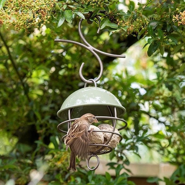 Satellite Fat Ball Feeder - Crocus Green 4 Satellite Fat Ball Feeder - Crocus Green - Image 2