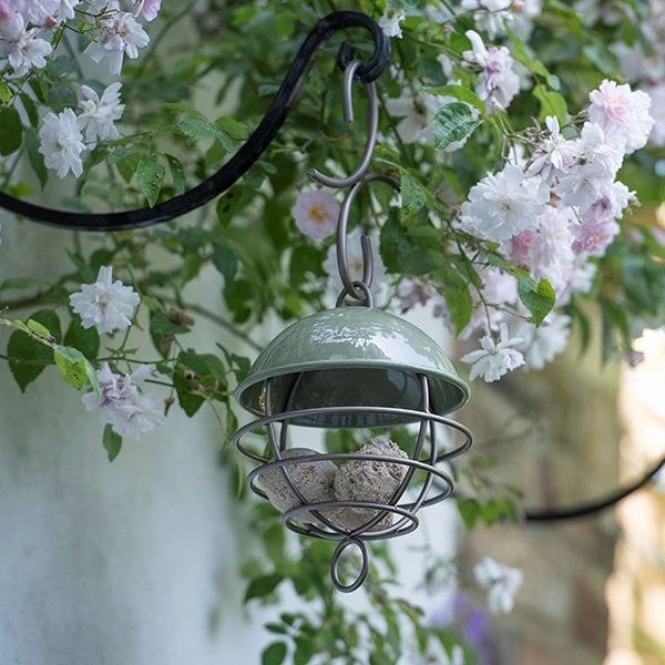 Satellite Fat Ball Feeder - Crocus Green 6 Satellite Fat Ball Feeder - Crocus Green - Image 4