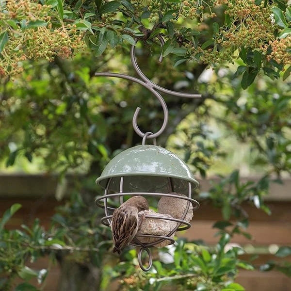 Satellite Fat Ball Feeder - Crocus Green 7 Satellite Fat Ball Feeder - Crocus Green - Image 5