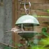 Crocus Green Satellite Bird Seed Feeder 1 Crocus Green Satellite Bird Seed Feeder -Feathered Garden pr2000040695