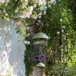 Crocus Green Satellite Bird Seed Feeder 9 Crocus Green Satellite Bird Seed Feeder -Feathered Garden pr2000040695 card4 lg