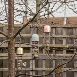 Tree Hanging Fat Ball Feeder - Brass -Feathered Garden pr2000041701 card4 lg