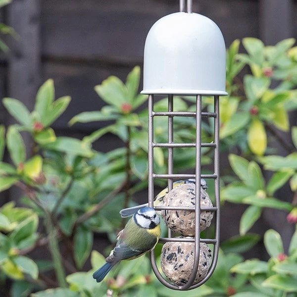 Tree Hanging Fat Ball Feeder - Putty 6 Tree Hanging Fat Ball Feeder - Putty - Image 4