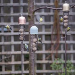 Garden Stake Fat Ball Feeder -Feathered Garden pr2000041704 card5 lg