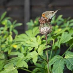 Poppy Seed Head Fat Snax Feeder - Rust -Feathered Garden pr2000041714 card4 lg