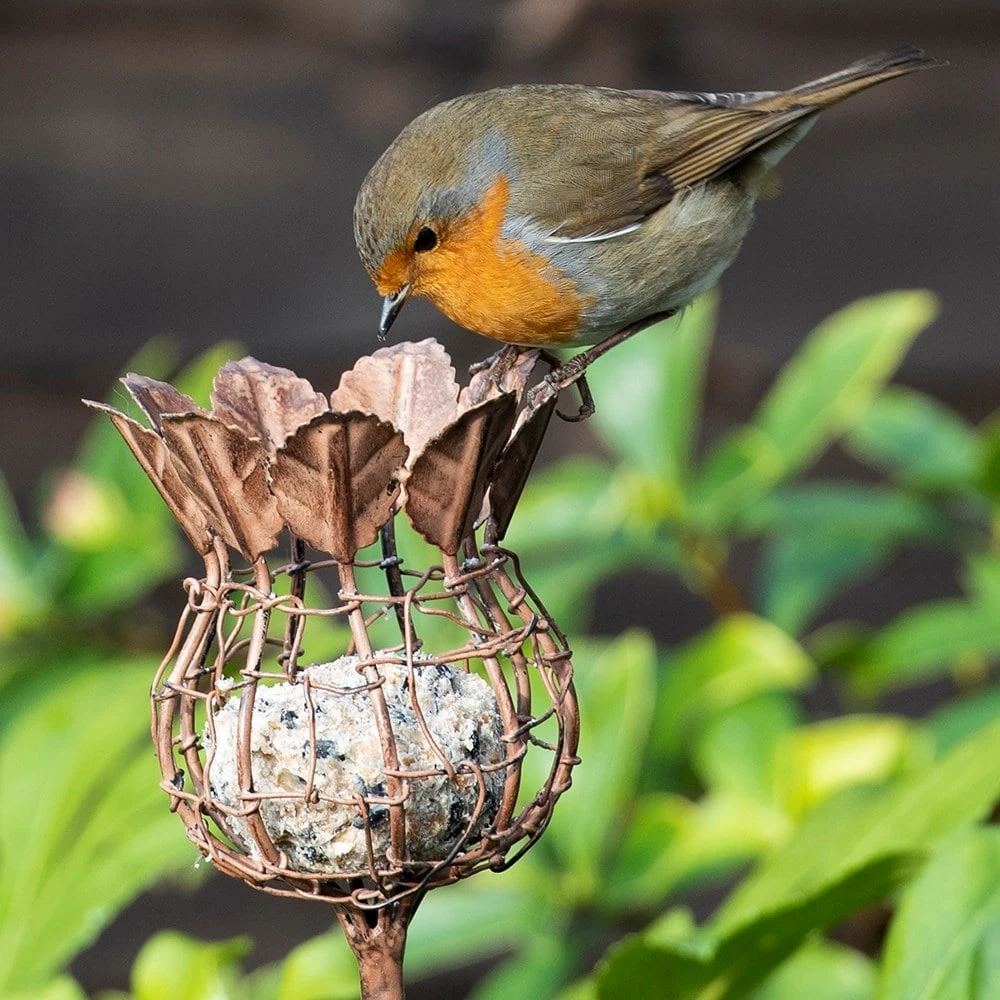 Poppy Seed Head Fat Snax Feeder - Aged Zinc 5 Poppy Seed Head Fat Snax Feeder - Aged Zinc - Image 3