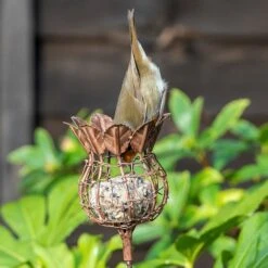 Poppy Seed Head Fat Snax Feeder - Aged Zinc 9 Poppy Seed Head Fat Snax Feeder - Aged Zinc -Feathered Garden pr2000041715 card4 lg