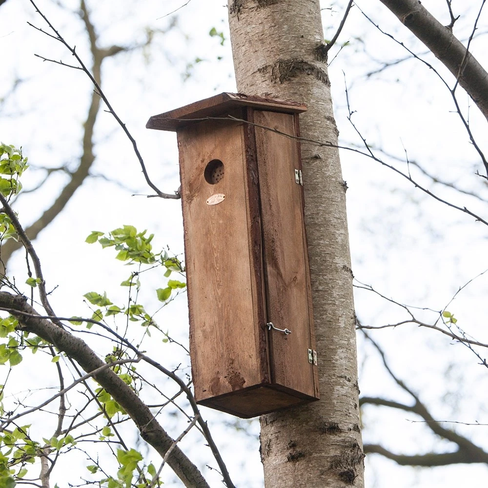 Woodpecker House 5 Woodpecker House - Image 3