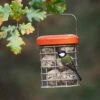 Premium Suet Feeder 2 Premium Suet Feeder -Feathered Garden pr2000044042