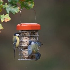Premium Suet Feeder 8 Premium Suet Feeder -Feathered Garden pr2000044042 card3 lg