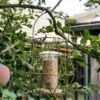 Aura Small Bird Feeder 2 Aura Small Bird Feeder -Feathered Garden pr2000044335