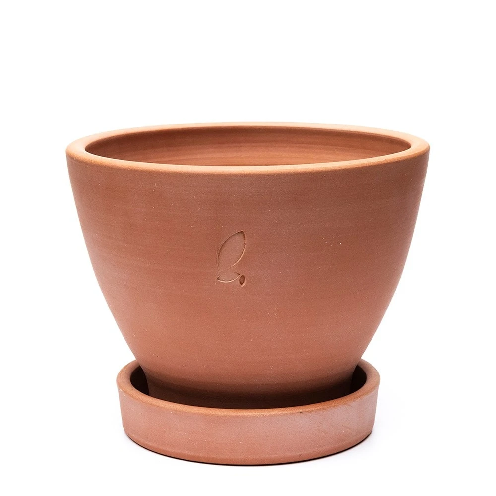Terracotta Herb Pot And Saucer - Small 5 Terracotta Herb Pot And Saucer - Small - Image 3