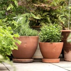 Terracotta Herb Pot And Saucer - Small 9 Terracotta Herb Pot And Saucer - Small -Feathered Garden pr2000046524 card4 lg