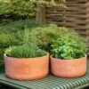 Terracotta Herb Bowl - Large 2 Terracotta Herb Bowl - Large -Feathered Garden pr2000046525
