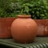 Terracotta Erigeron Pot - Large 1 Terracotta Erigeron Pot - Large -Feathered Garden pr2000046528