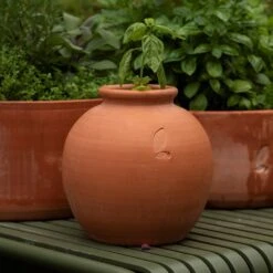 Terracotta Erigeron Pot - Small 8 Terracotta Erigeron Pot - Small -Feathered Garden pr2000046529 card3 lg